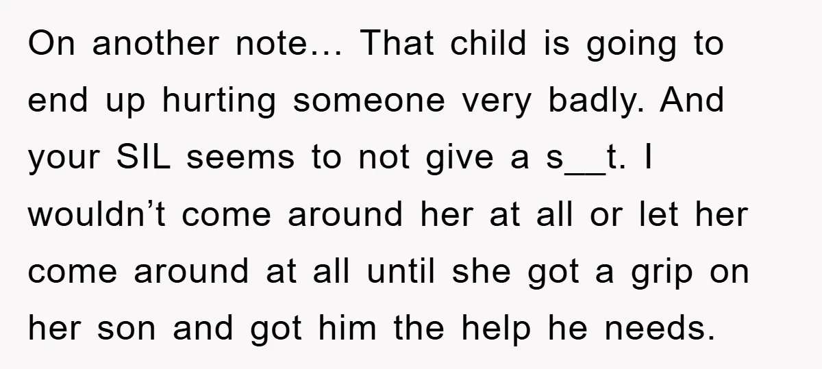 On another note… That child is going to end up hurting someone very badly. And your SIL seems to not give a s__t. I wouldn’t come around her at all...