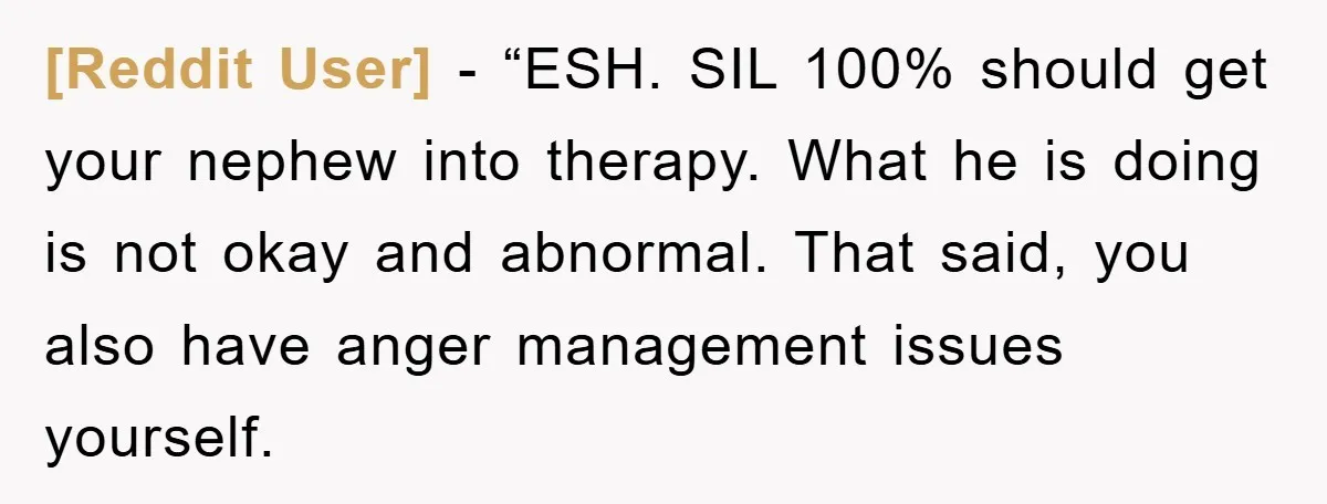 [Reddit User] - “ESH. SIL 100% should get your nephew into therapy. What he is doing is not okay and abnormal. That said, you also have anger management issues yourself.