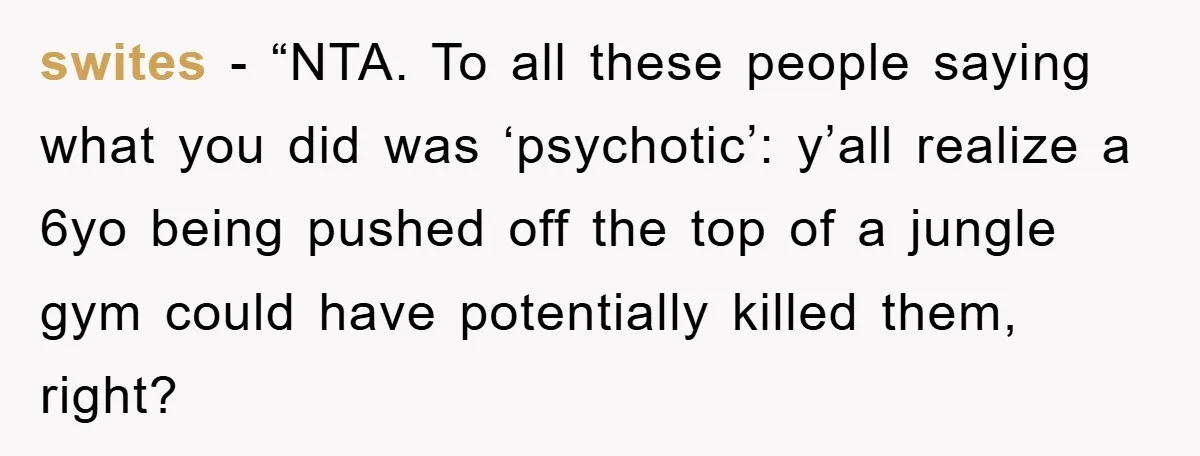 swites - “NTA. To all these people saying what you did was ‘psychotic’: y’all realize a 6yo being pushed off the top of a jungle gym could have potentially killed...