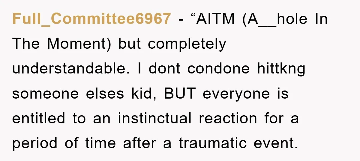 Full_Committee6967 - “AITM (A__hole In The Moment) but completely understandable. I dont condone hittkng someone elses kid, BUT everyone is entitled to an instinctual reaction for a period of time...