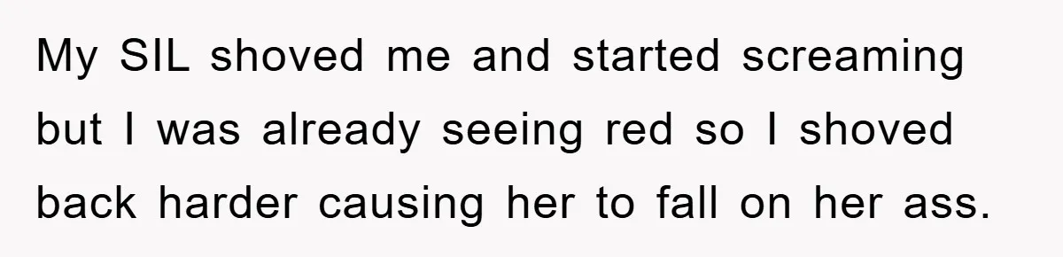 My SIL shoved me and started screaming but I was already seeing red so I shoved back harder causing her to fall on her ass.