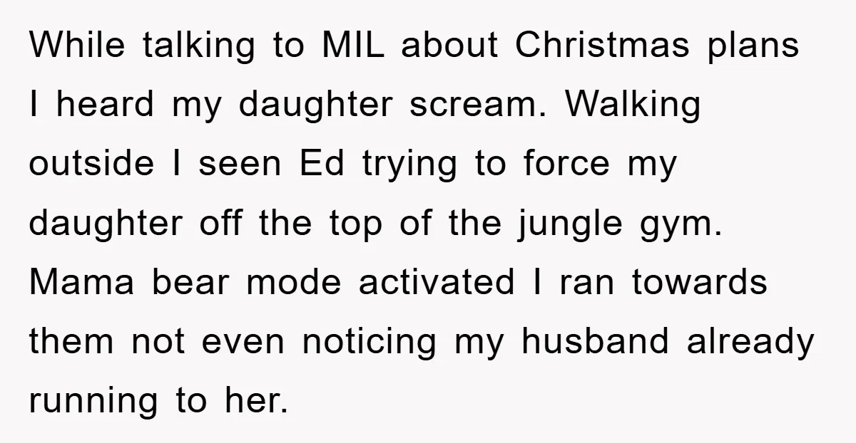 While talking to MIL about Christmas plans I heard my daughter scream. Walking outside I seen Ed trying to force my daughter off the top of the jungle gym. Mama...