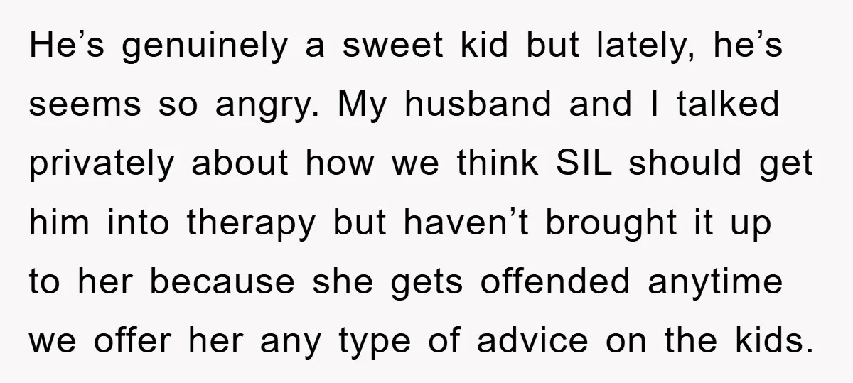 He’s genuinely a sweet kid but lately, he’s seems so angry. My husband and I talked privately about how we think SIL should get him into therapy but haven’t brought...