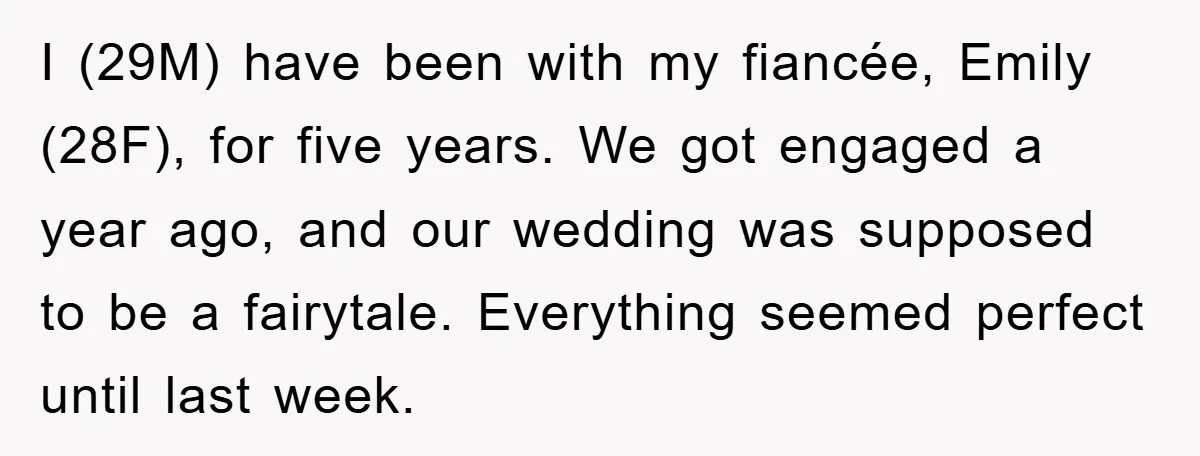 I (29M) have been with my fiancée, Emily (28F), for five years. We got engaged a year ago, and our wedding was supposed to be a fairytale. Everything seemed perfect...