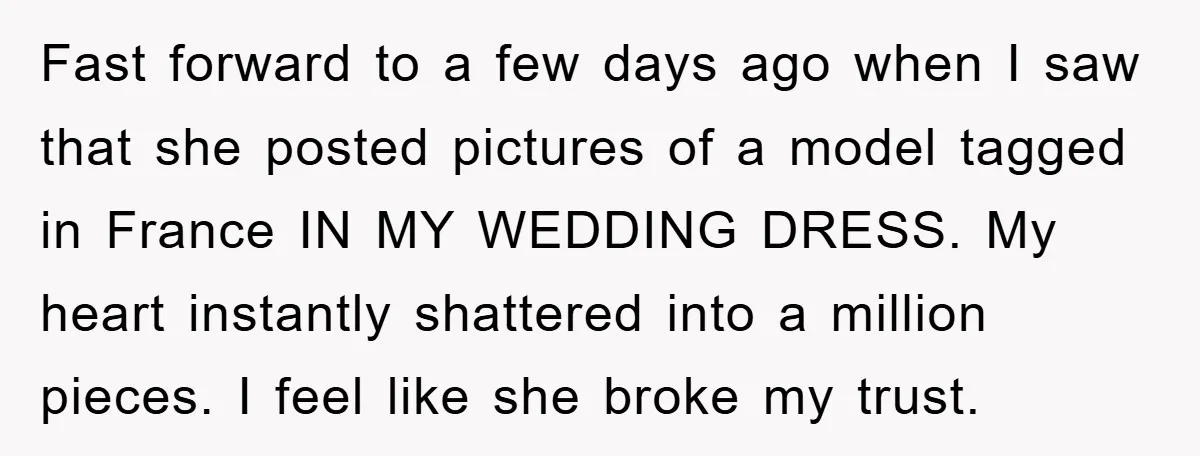 Fast forward to a few days ago when I saw that she posted pictures of a model tagged in France IN MY WEDDING DRESS. My heart instantly shattered into a...