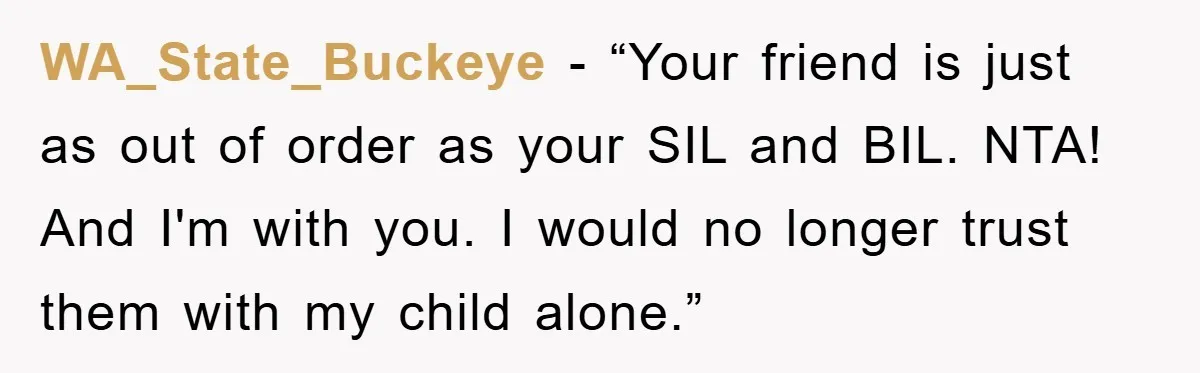 WA_State_Buckeye - “Your friend is just as out of order as your SIL and BIL. NTA! And I'm with you. I would no longer trust them with my child alone.”