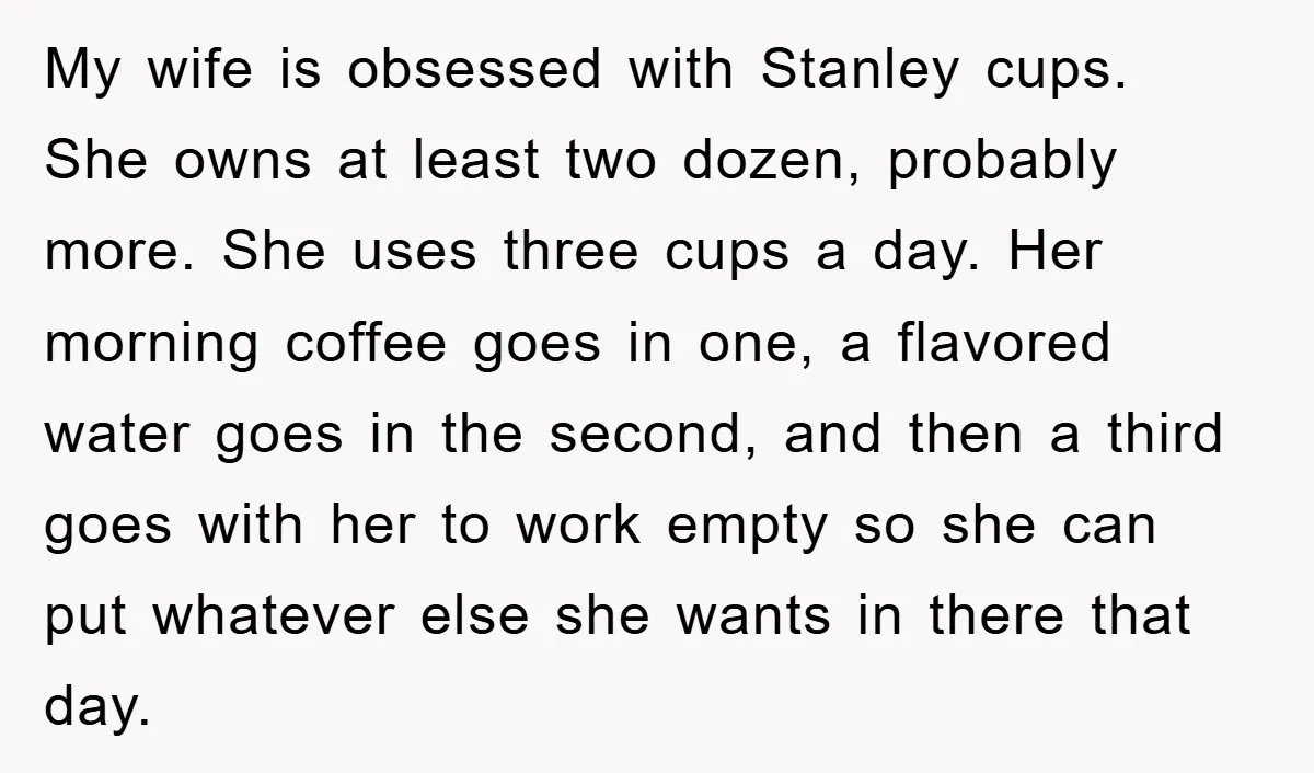 My wife is obsessed with Stanley cups. She owns at least two dozen, probably more. She uses three cups a day. Her morning coffee goes in one, a flavored water...