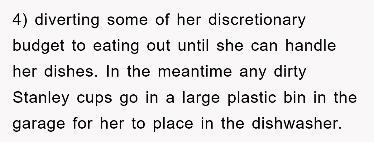 4) diverting some of her discretionary budget to eating out until she can handle her dishes. In the meantime any dirty Stanley cups go in a large plastic bin in...