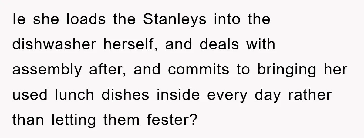 Ie she loads the Stanleys into the dishwasher herself, and deals with assembly after, and commits to bringing her used lunch dishes inside every day rather than letting them fester?