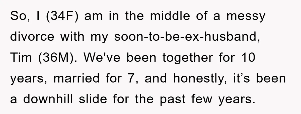 So, I (34F) am in the middle of a messy divorce with my soon-to-be-ex-husband, Tim (36M). We've been together for 10 years, married for 7, and honestly, it’s been a...