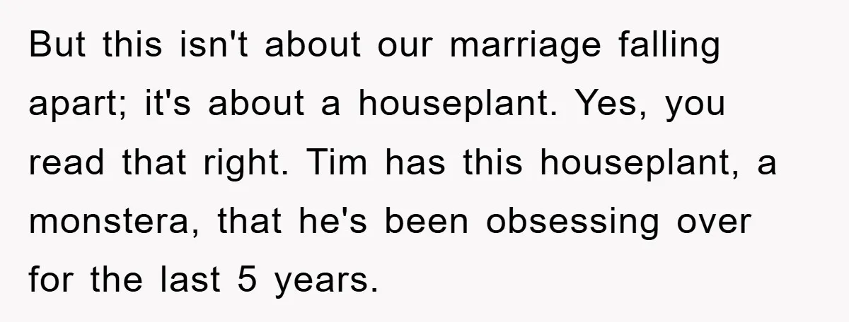 But this isn't about our marriage falling apart; it's about a houseplant. Yes, you read that right. Tim has this houseplant, a monstera, that he's been obsessing over for the...