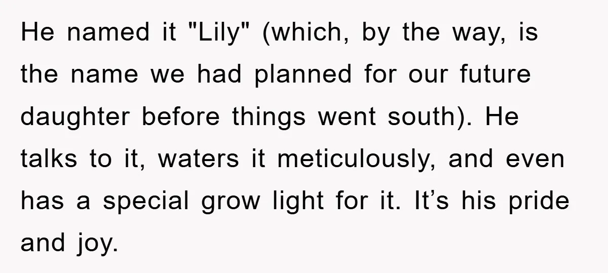 He named it "Lily" (which, by the way, is the name we had planned for our future daughter before things went south). He talks to it, waters it meticulously, and...
