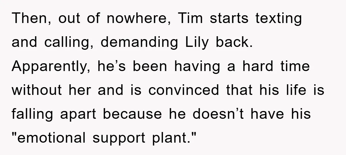 Then, out of nowhere, Tim starts texting and calling, demanding Lily back. Apparently, he’s been having a hard time without her and is convinced that his life is falling apart...