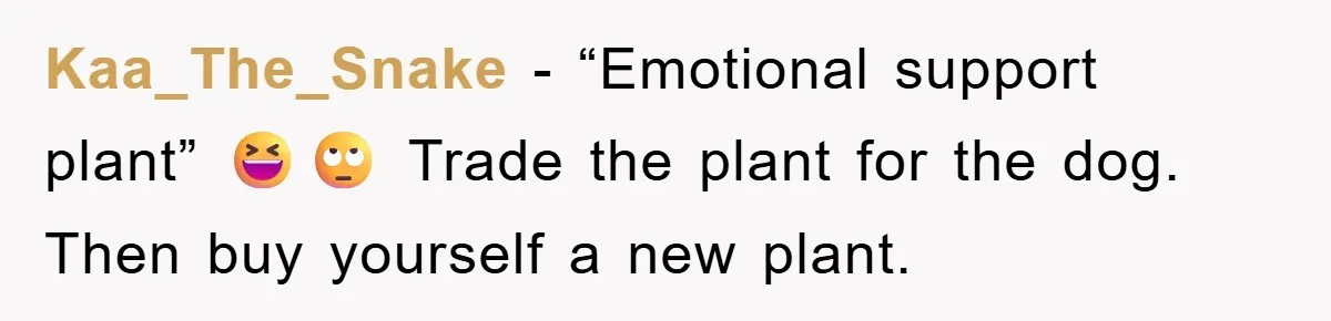Kaa_The_Snake − “Emotional support plant” 😆🙄 Trade the plant for the dog. Then buy yourself a new plant.