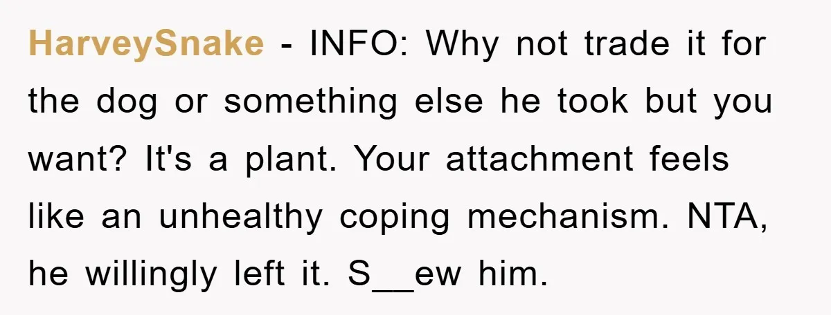 HarveySnake − INFO: Why not trade it for the dog or something else he took but you want? It's a plant. Your attachment feels like an unhealthy coping mechanism. NTA,...