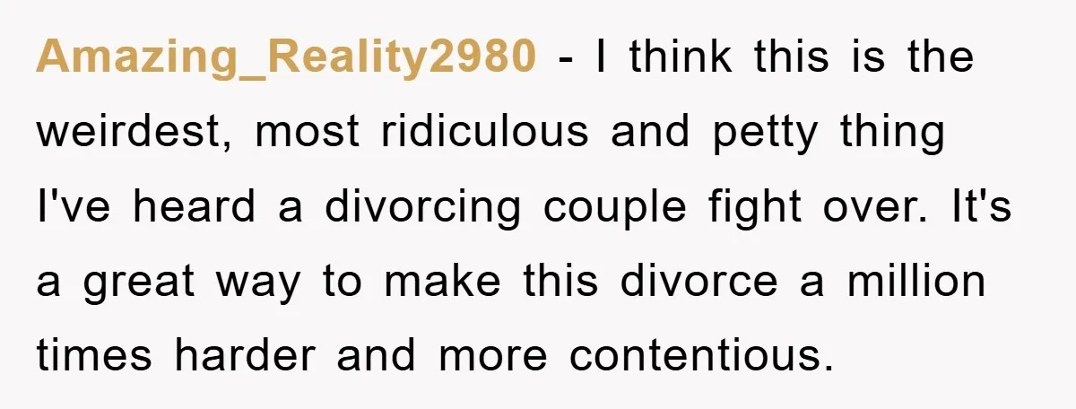 Amazing_Reality2980 − I think this is the weirdest, most ridiculous and petty thing I've heard a divorcing couple fight over. It's a great way to make this divorce a million...