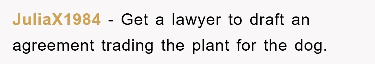 JuliaX1984 − Get a lawyer to draft an agreement trading the plant for the dog.