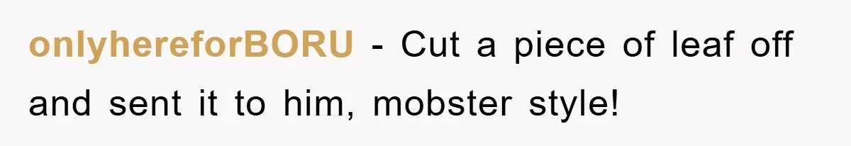 onlyhereforBORU − Cut a piece of leaf off and sent it to him, mobster style!