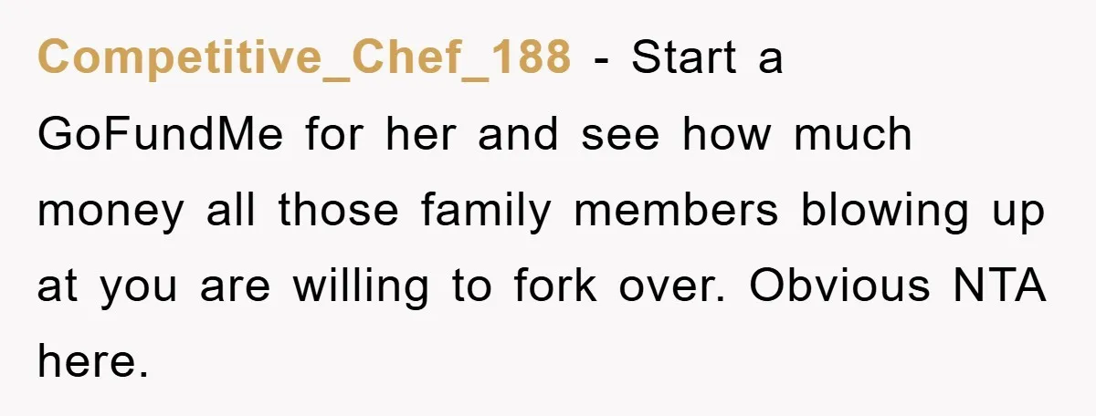 Competitive_Chef_188 − Start a GoFundMe for her and see how much money all those family members blowing up at you are willing to fork over. Obvious NTA here.