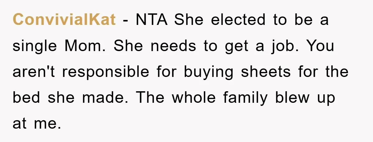 ConvivialKat − NTA She elected to be a single Mom. She needs to get a job. You aren't responsible for buying sheets for the bed she made. The whole family...