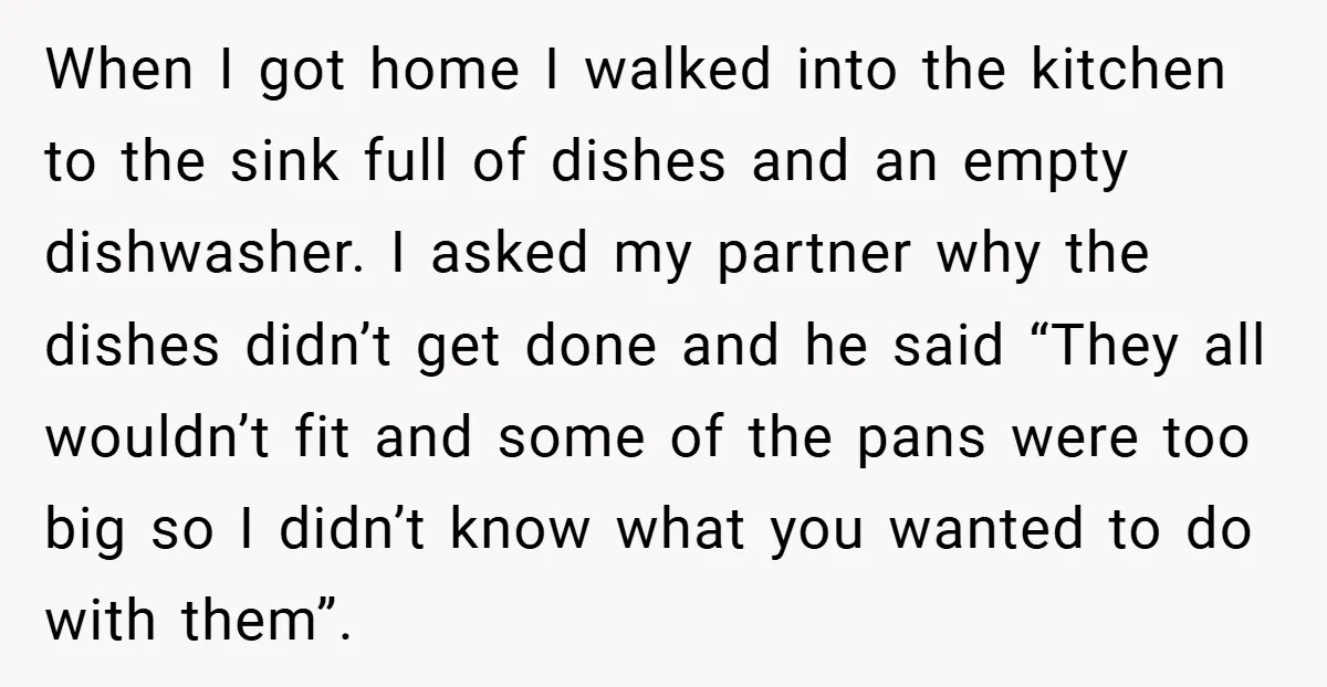 When I got home I walked into the kitchen to the sink full of dishes and an empty dishwasher. I asked my partner why the dishes didn’t get done and...