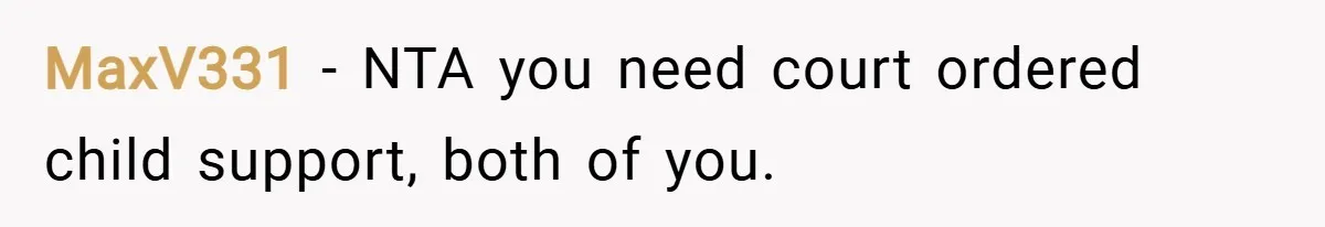 MaxV331 − NTA you need court ordered child support, both of you.