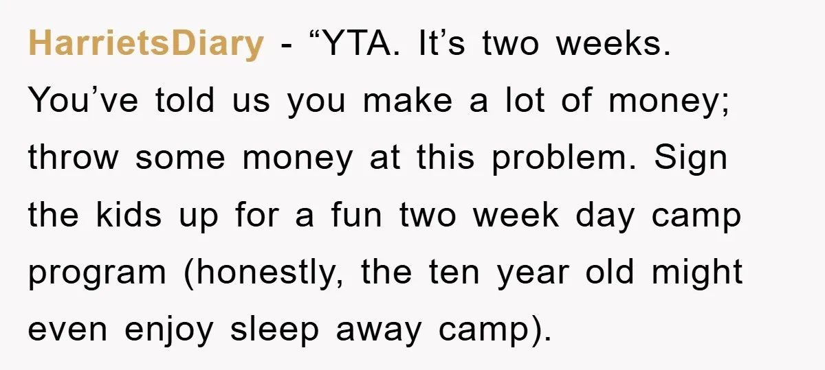 HarrietsDiary - “YTA. It’s two weeks. You’ve told us you make a lot of money; throw some money at this problem. Sign the kids up for a fun two week...