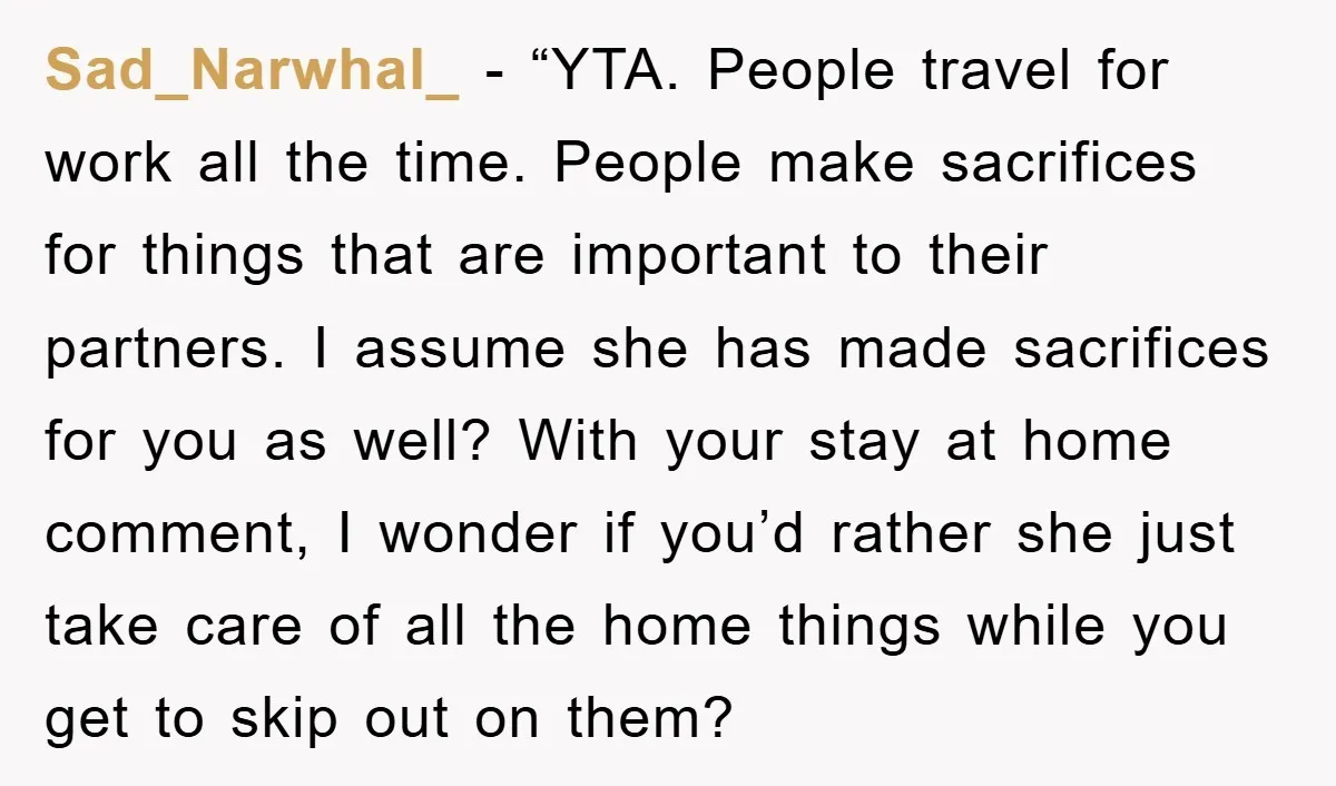Sad_Narwhal_ - “YTA. People travel for work all the time. People make sacrifices for things that are important to their partners. I assume she has made sacrifices for you as...