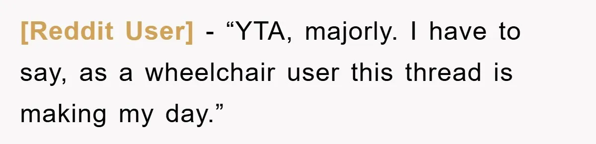 [Reddit User] - “YTA, majorly. I have to say, as a wheelchair user this thread is making my day.”
