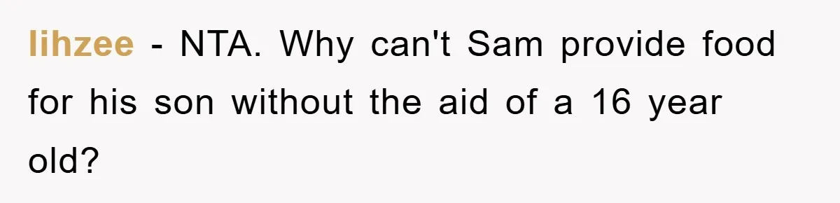 lihzee − NTA. Why can't Sam provide food for his son without the aid of a 16 year old?