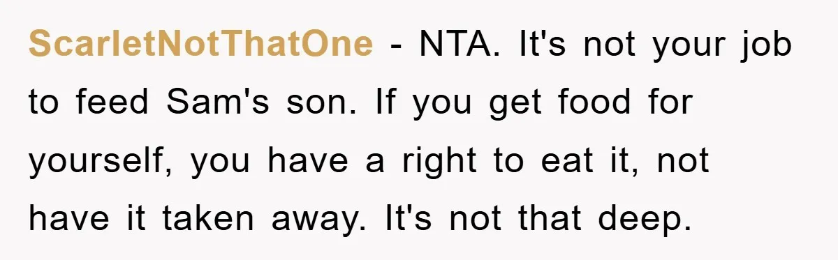 ScarletNotThatOne − NTA. It's not your job to feed Sam's son. If you get food for yourself, you have a right to eat it, not have it taken away. It's...