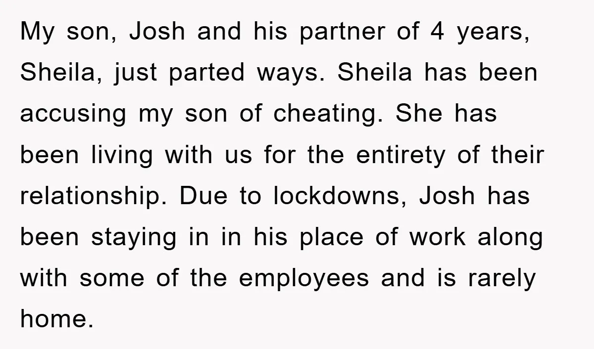 My son, Josh and his partner of 4 years, Sheila, just parted ways. Sheila has been accusing my son of cheating. She has been living with us for the entirety...