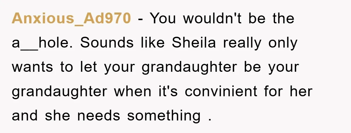 Anxious_Ad970 − You wouldn't be the a__hole. Sounds like Sheila really only wants to let your grandaughter be your grandaughter when it's convinient for her and she needs something .