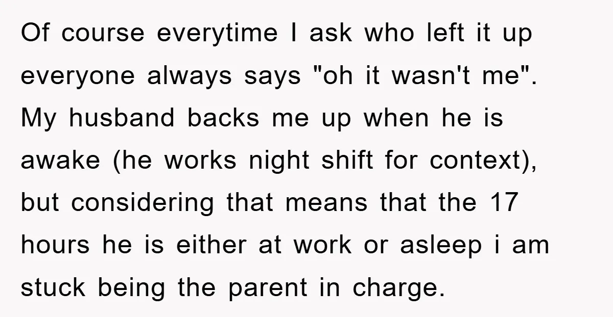 Of course everytime I ask who left it up everyone always says "oh it wasn't me". My husband backs me up when he is awake (he works night shift for...