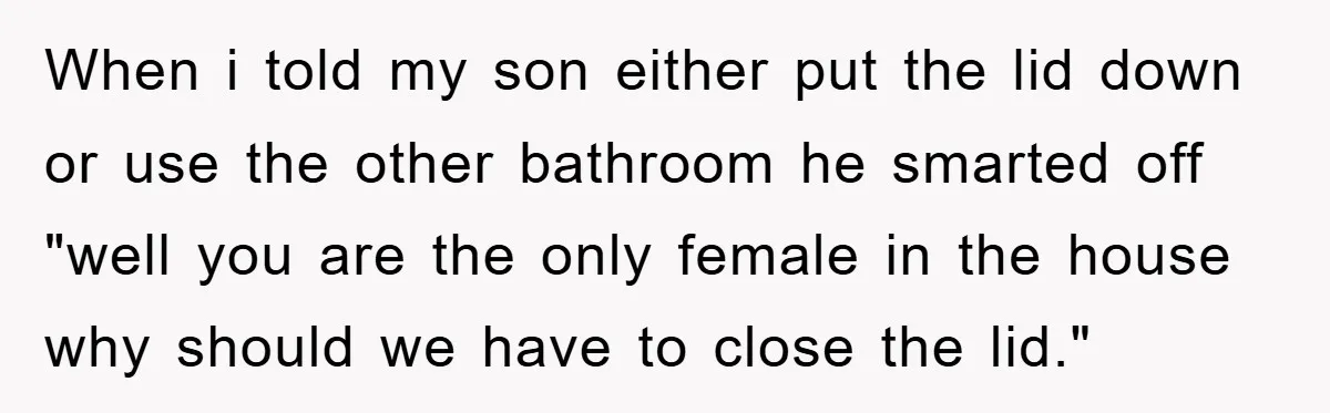 When i told my son either put the lid down or use the other bathroom he smarted off "well you are the only female in the house why should we...