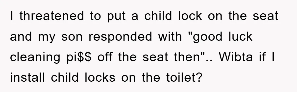I threatened to put a child lock on the seat and my son responded with "good luck cleaning pi$$ off the seat then".. Wibta if I install child locks on...