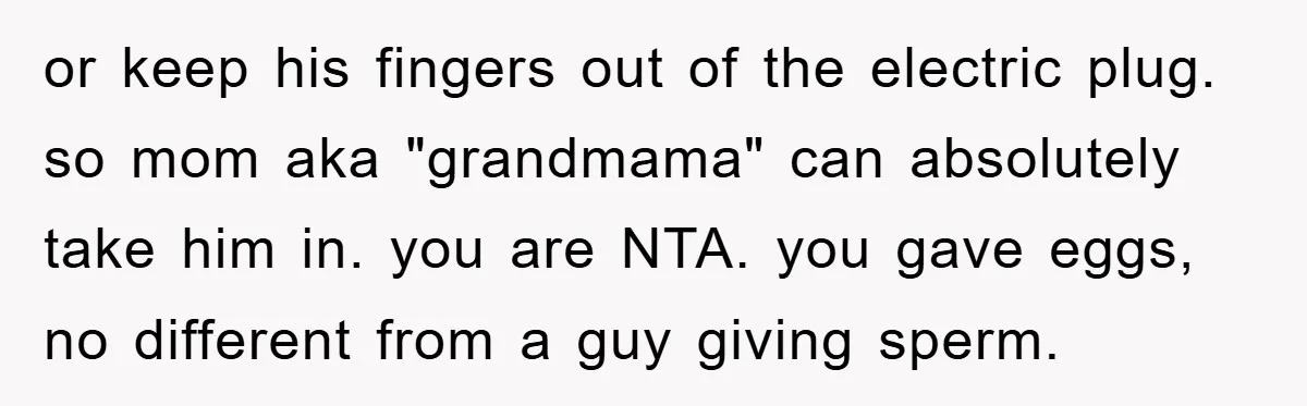 or keep his fingers out of the electric plug. so mom aka "grandmama" can absolutely take him in. you are NTA. you gave eggs, no different from a guy giving...