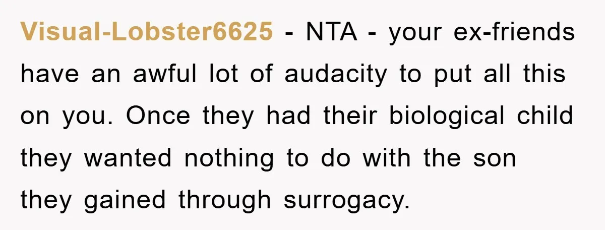 Visual-Lobster6625 - NTA - your ex-friends have an awful lot of audacity to put all this on you. Once they had their biological child they wanted nothing to do with...