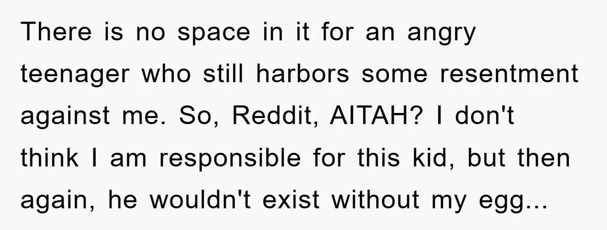 There is no space in it for an angry teenager who still harbors some resentment against me. So, Reddit, AITAH? I don't think I am responsible for this kid, but...