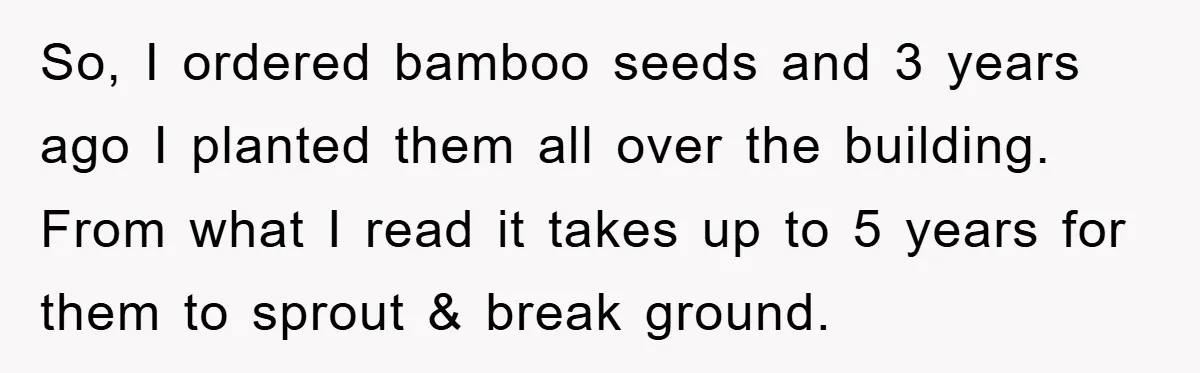 So, I ordered bamboo seeds and 3 years ago I planted them all over the building. From what I read it takes up to 5 years for them to sprout...