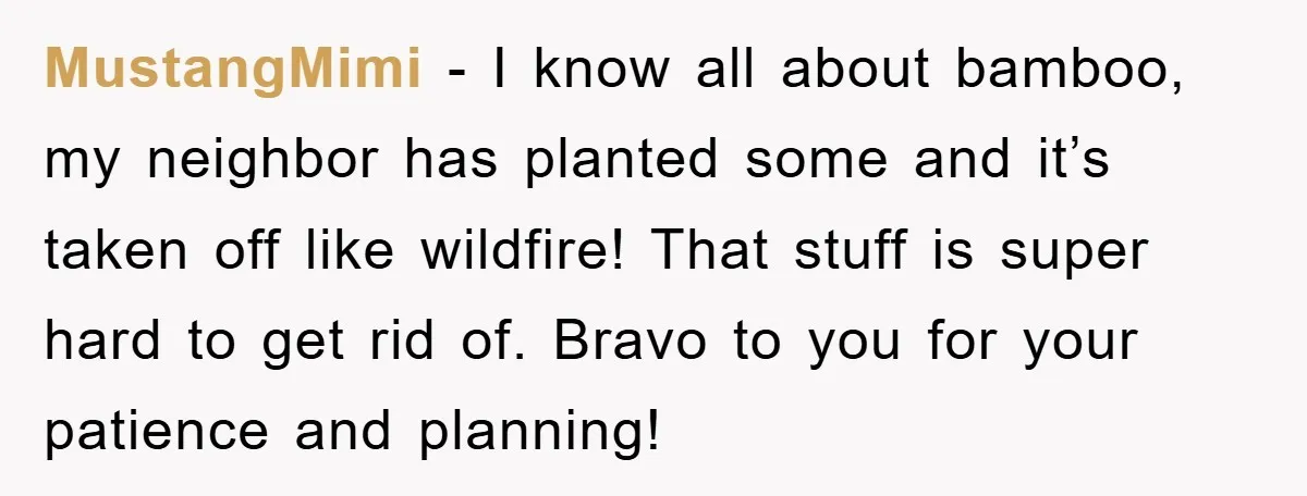 MustangMimi − I know all about bamboo, my neighbor has planted some and it’s taken off like wildfire! That stuff is super hard to get rid of. Bravo to you...