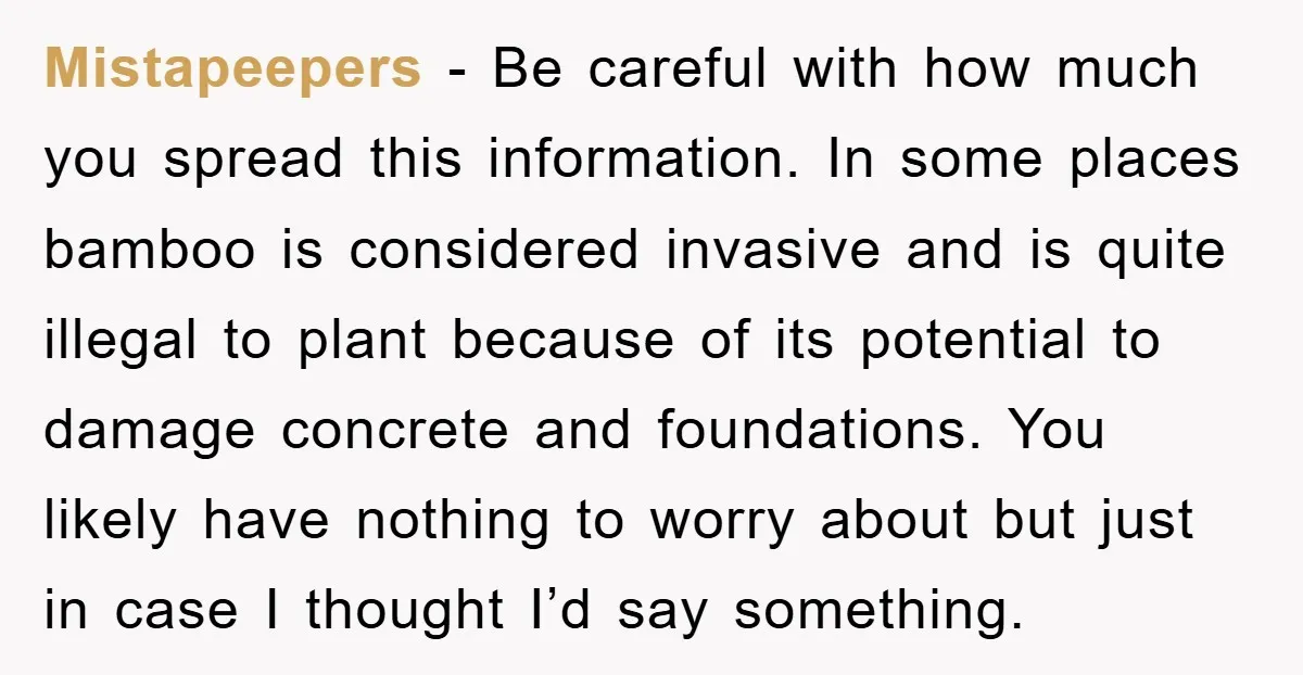 Mistapeepers − Be careful with how much you spread this information. In some places bamboo is considered invasive and is quite illegal to plant because of its potential to damage...