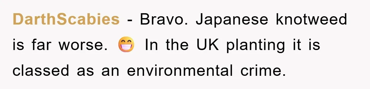 DarthScabies − Bravo. Japanese knotweed is far worse. 😁 In the UK planting it is classed as an environmental crime.