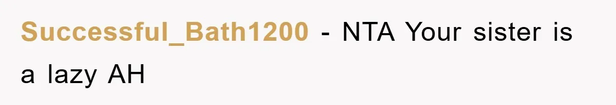 Successful_Bath1200 − NTA Your sister is a lazy AH