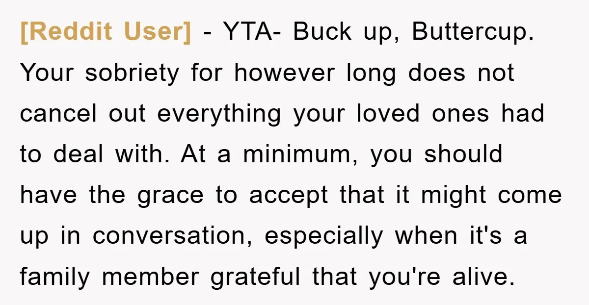 [Reddit User] − YTA- Buck up, Buttercup. Your sobriety for however long does not cancel out everything your loved ones had to deal with. At a minimum, you should have...