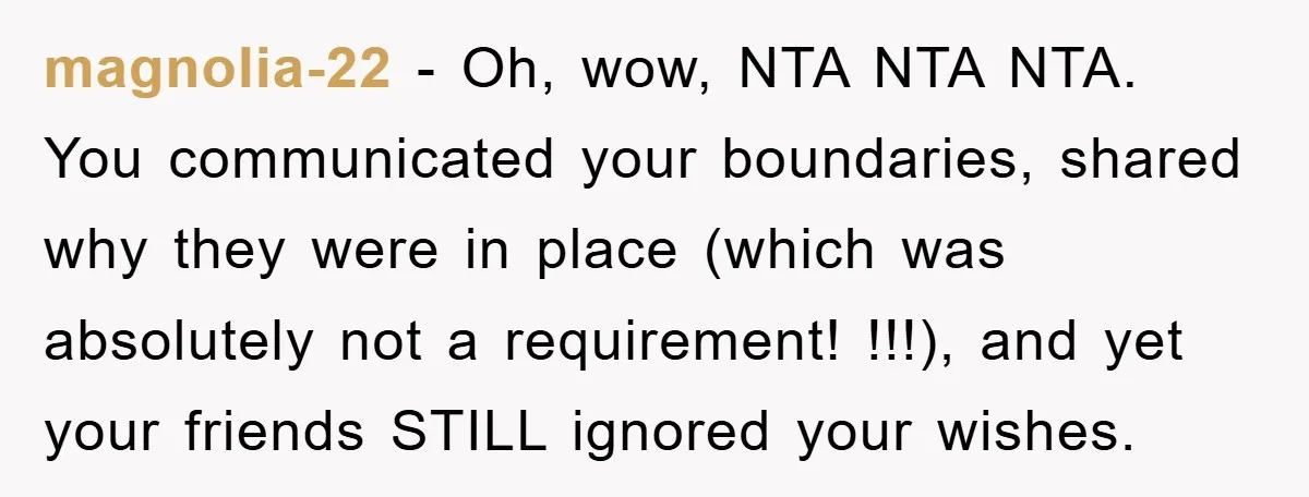 magnolia-22 - Oh, wow, NTA NTA NTA. You communicated your boundaries, shared why they were in place (which was absolutely not a requirement! !!!), and yet your friends STILL ignored...