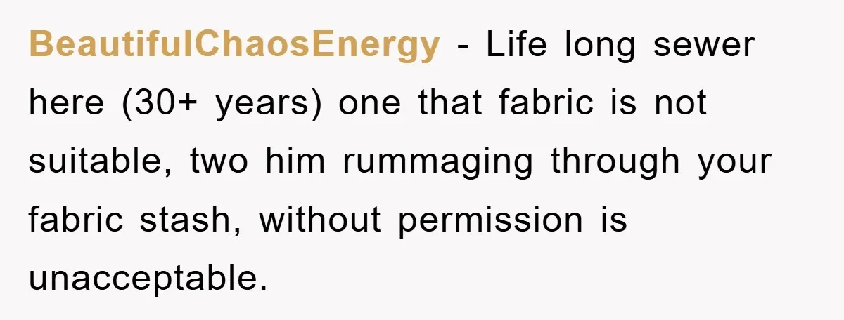 BeautifulChaosEnergy − Life long sewer here (30+ years) one that fabric is not suitable, two him rummaging through your fabric stash, without permission is unacceptable.
