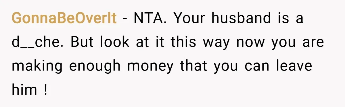 GonnaBeOverIt − NTA. Your husband is a d__che. But look at it this way now you are making enough money that you can leave him !