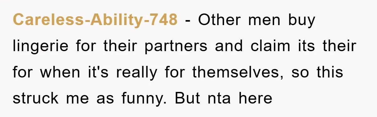Careless-Ability-748 − Other men buy lingerie for their partners and claim its their for when it's really for themselves, so this struck me as funny. But nta here