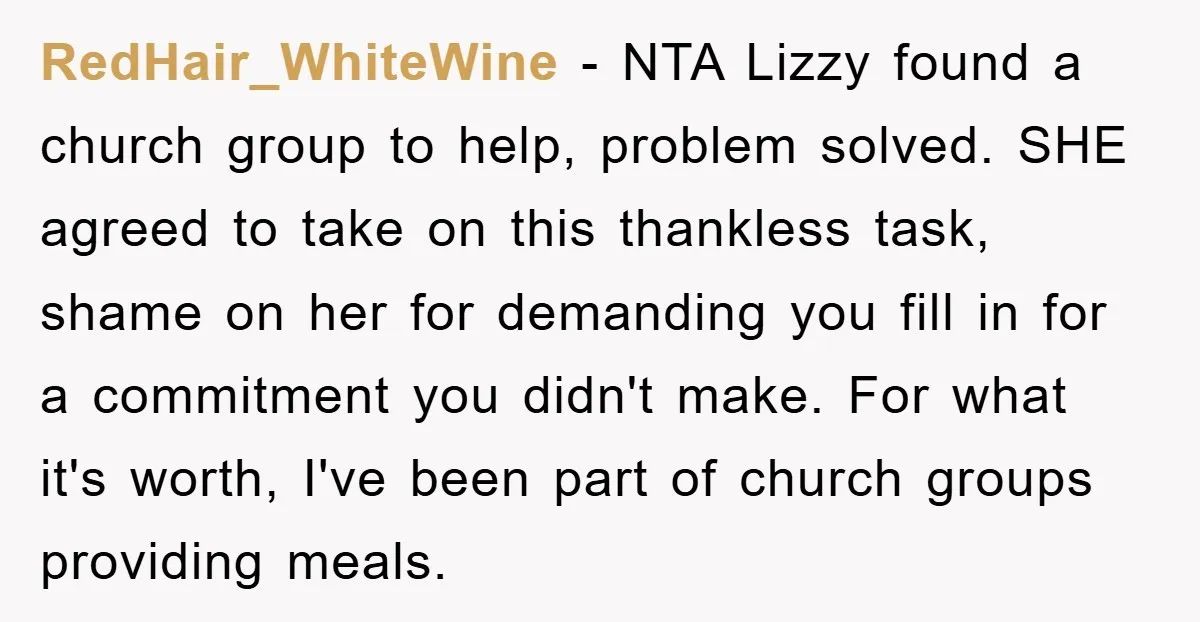 RedHair_WhiteWine − NTA Lizzy found a church group to help, problem solved. SHE agreed to take on this thankless task, shame on her for demanding you fill in for a...